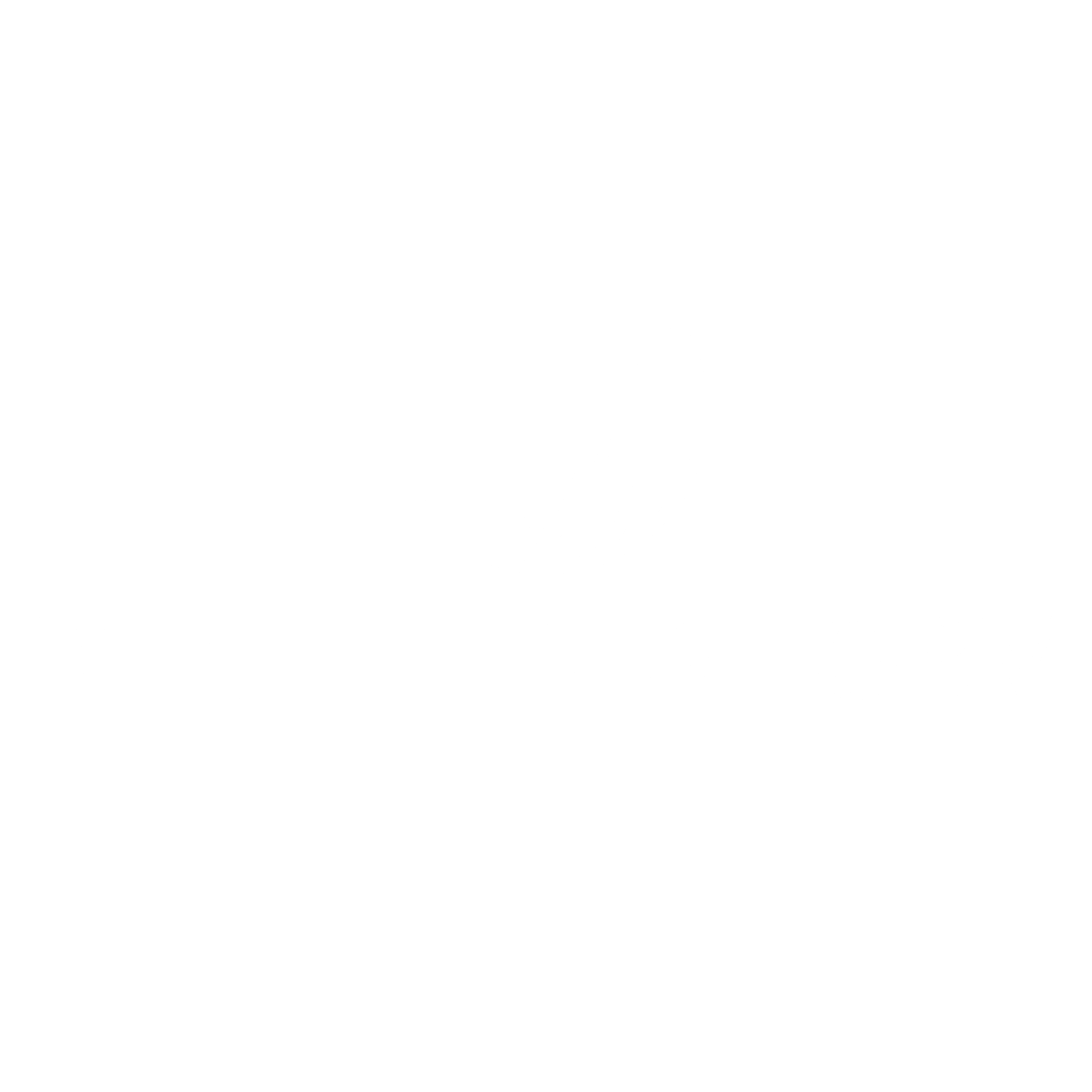 Client Logo 13